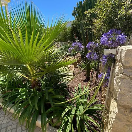 Vakantiehuis Mountain View With Private Pool